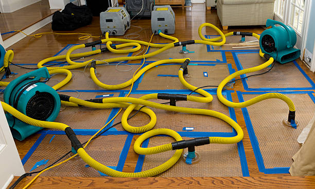 Professional Crawl Space Water Removal technician working in Gaines, MI